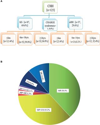 Correlation Analysis of Genotypes and Phenotypes in Chinese Male Pediatric Patients With Congenital Hypogonadotropic Hypogonadism